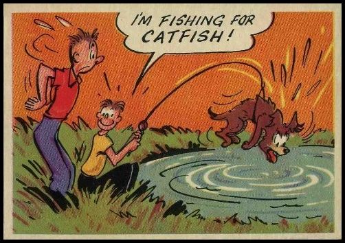34 I'm Fishing For Catfish